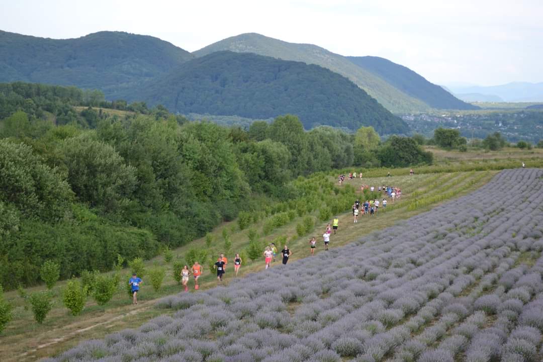 7 липня у Перечині відбудеться Lavanda Run 2023