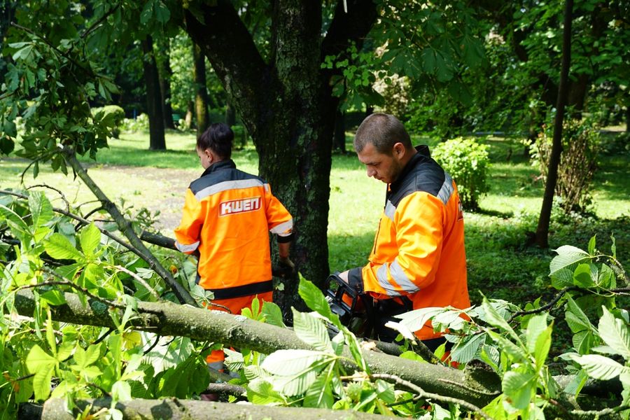 За 40 хвилин напередоді в Ужгороді випала половина місячної норми дощів, наслідки досі ліквідовують (ФОТО)