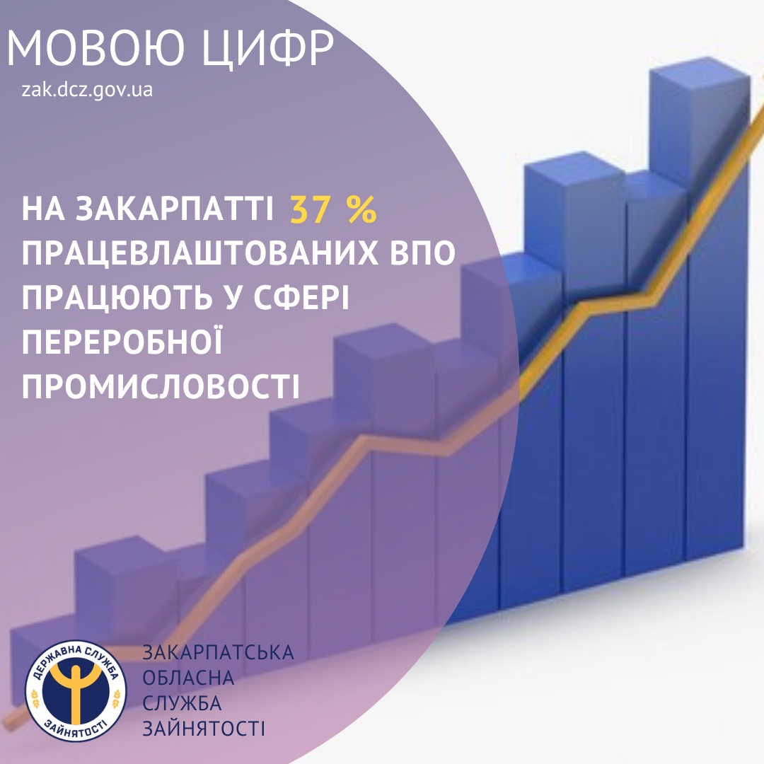 На Закарпатті 37% працевлаштованих переселенців працюють у сфері переробної промисловості