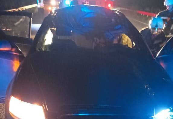 У Хусті загинув 21-річний міжгірець, Audi якого врізалася в коня на дорозі (ФОТО)