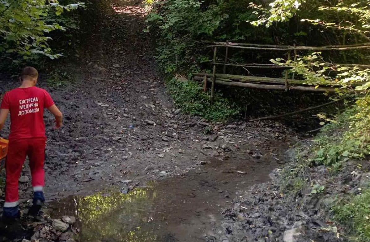 Фельдшерові та водієві "швидкої" довелося приймати пологи в авто у жінки з Сухого на Великоберезнянщині (ФОТО)