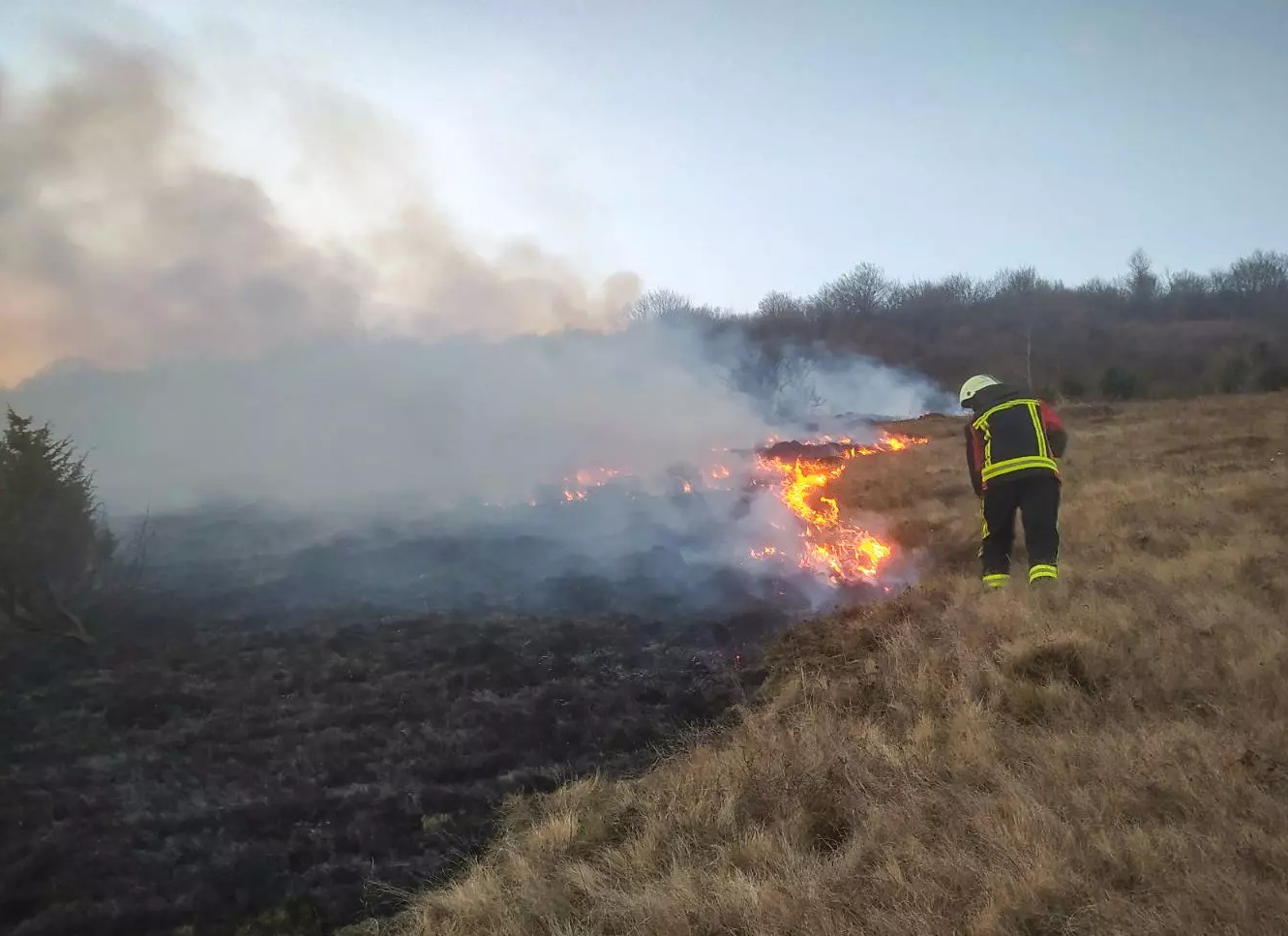 Під час пожежі сухостою у Драгові на Хустщині отримав важкі опіки п'яний 60-річний чоловік