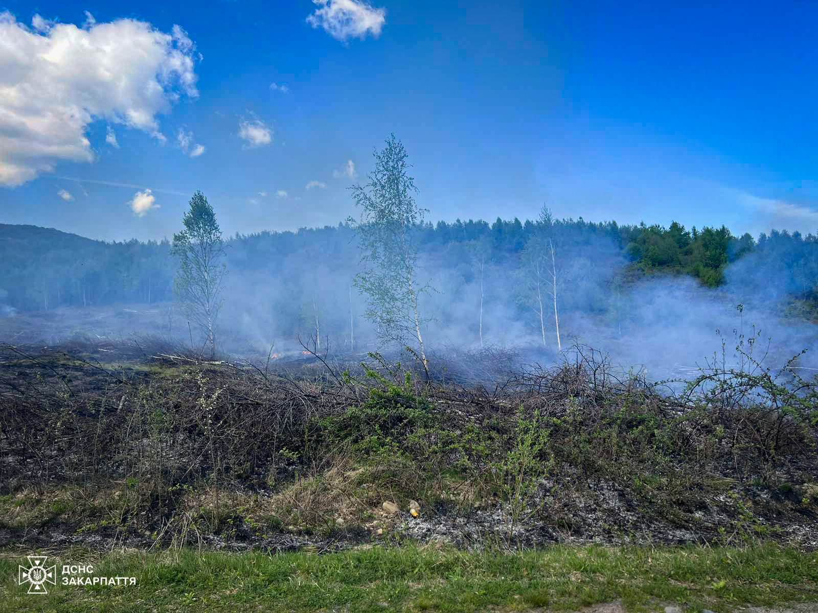 За вихідні на Закарпатті ліквідували 7 загорань сухостою і сміття, в Нижніх Воротах врятували аптеку (ФОТО)