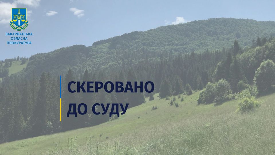 За шахрайське заволодіння землею вартістю майже 1,2 млн грн судитимуть депутата з Нересниці на Тячівщині