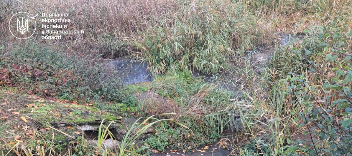 На Закарпатті розслідують забруднення річки Верке (ФОТО)