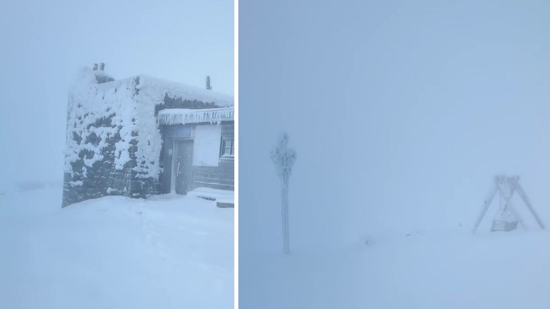 У Карпатах вирують снігові шторми: видимість обмежена, пориви вітру до 20 м/с 