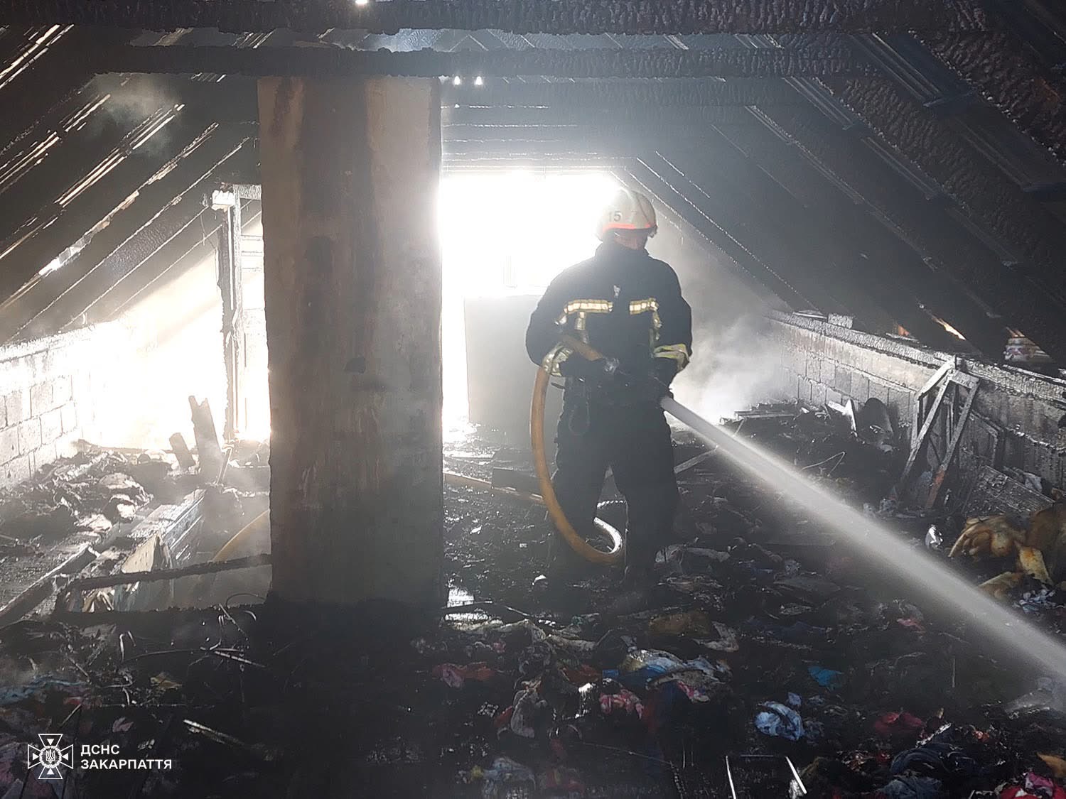 На Берегівщині рятувальники ліквідували пожежу в житловому будинку (ФОТО)