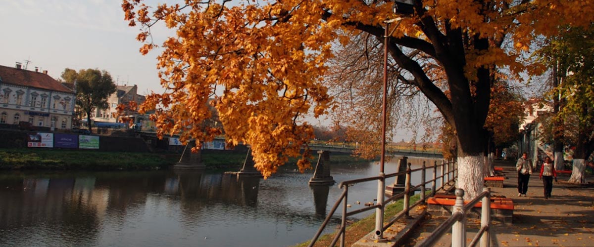 Фото ілюстративне, з мережі інтернет