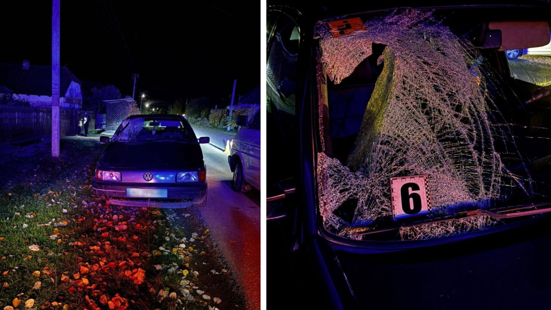 На Берегівщині під колесами авто загинула жінка (ФОТО)