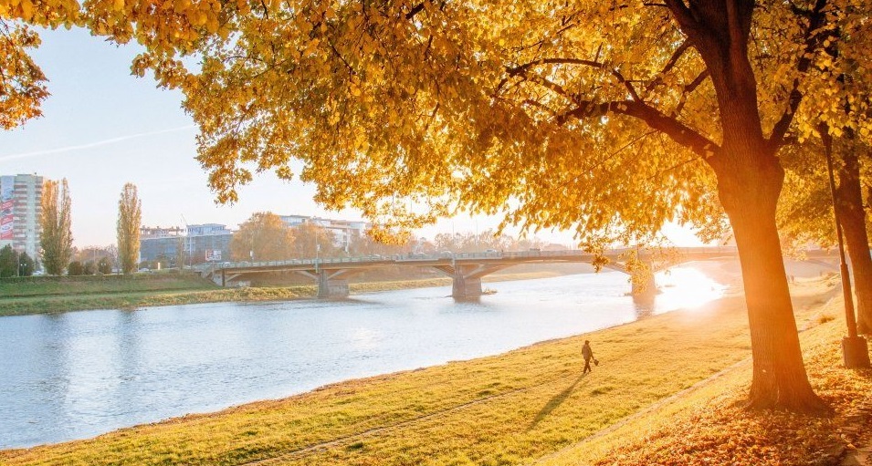 Фото ілюстративне, з мережі інтернет