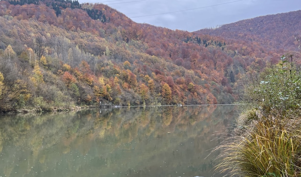 На Хустщині відновлюють популяцію струмкової форелі (ФОТО)