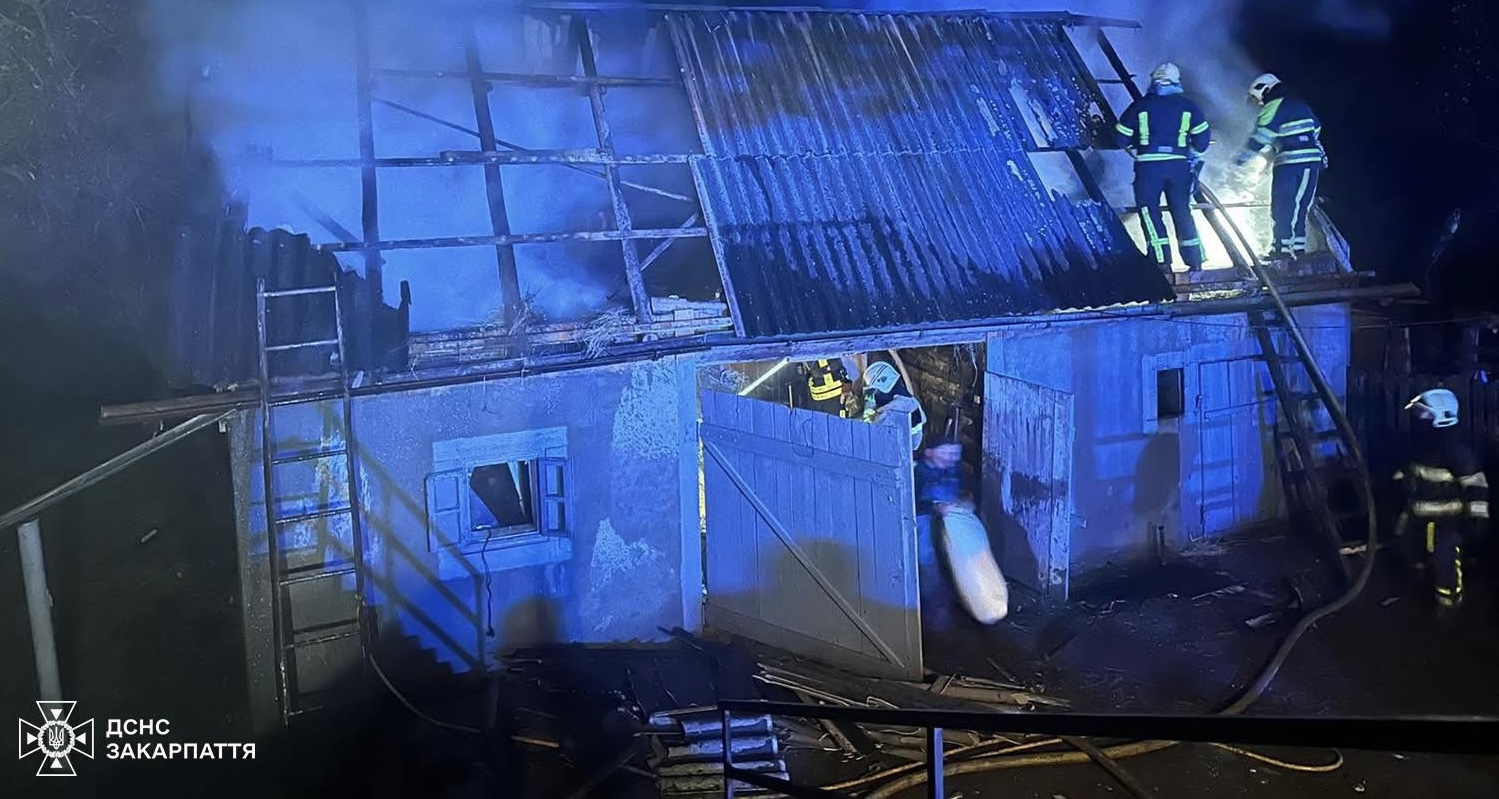 Собака врятував господарство від нічної пожежі у Верхній Визниці (ФОТО)