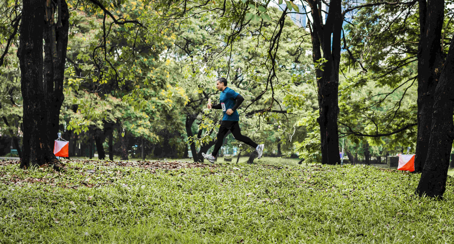 Фото ілюстративне, з мережі інтернет