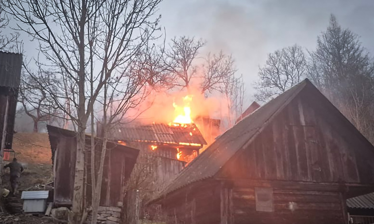 У Косівській Поляні на Рахівщині під час пожежі загинули свійські тварини (ФОТО)