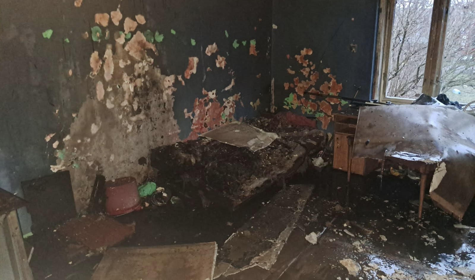 На Берегівщині сталася пожежа в житловому будинку (ФОТО)