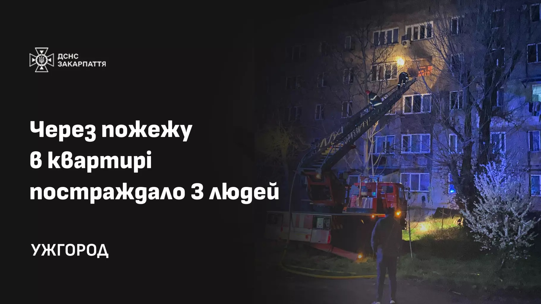 Фото ілюстративне, з мережі Інтернет