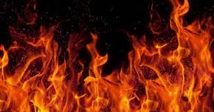 У Брустурах на Тячівщині згорів магазин