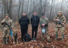 На Ужгородщині 78-річний провідник вів 2-х закарпатців-"ухилянтів" лісом до Словаччини (ФОТО)