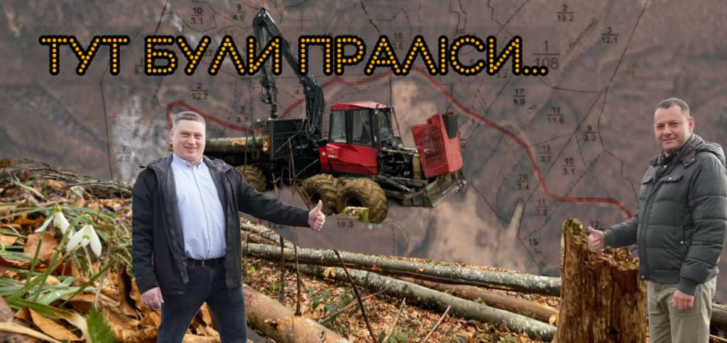 Під полониною Рівною зрубали праліси для вітропарку Єфімова-Мкртчана