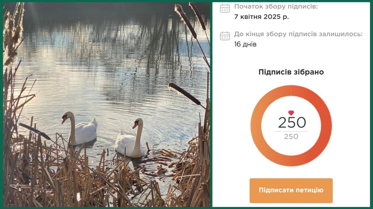 Петиція про створення парку "Чорні озера" в Ужгороді достроково назбирала необхідну кількість за 5 днів