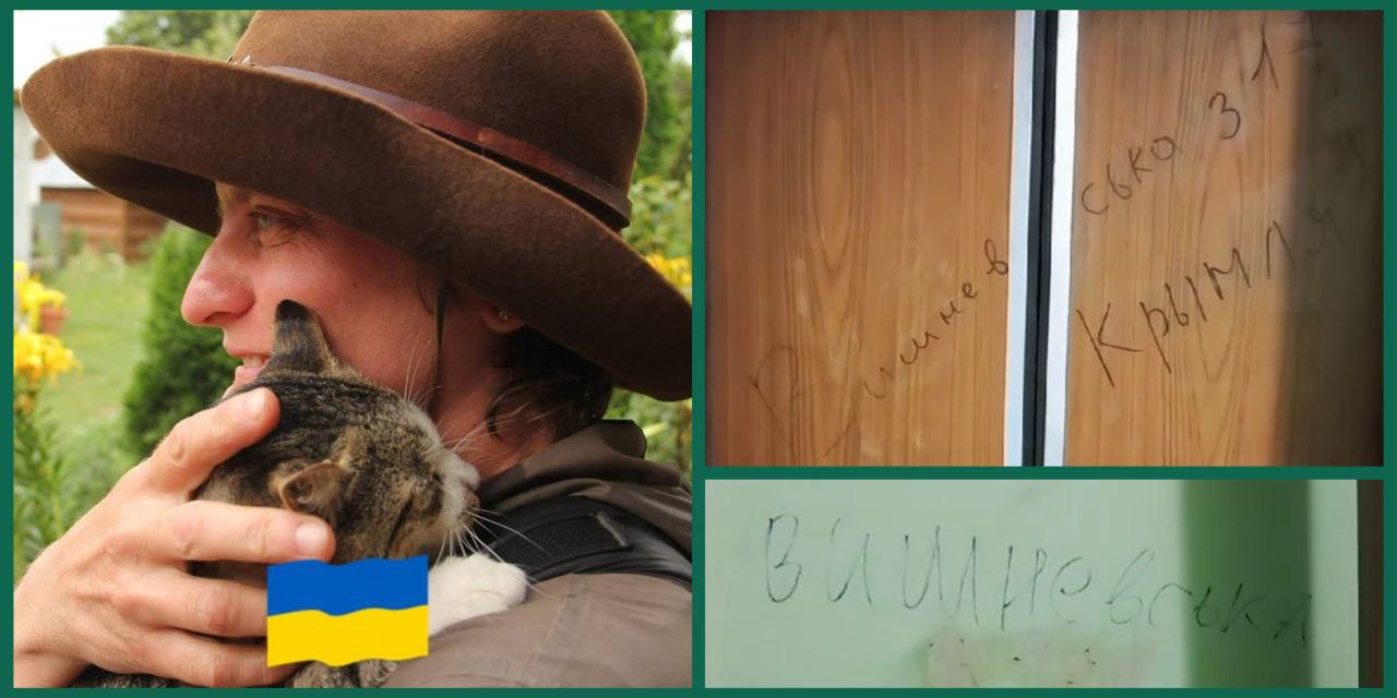 "Залиті кров'ю підлога та двері": "Вітропарки" почали залякувати захисників унікального високогір'я на Закарпатті (ВІДЕО)
