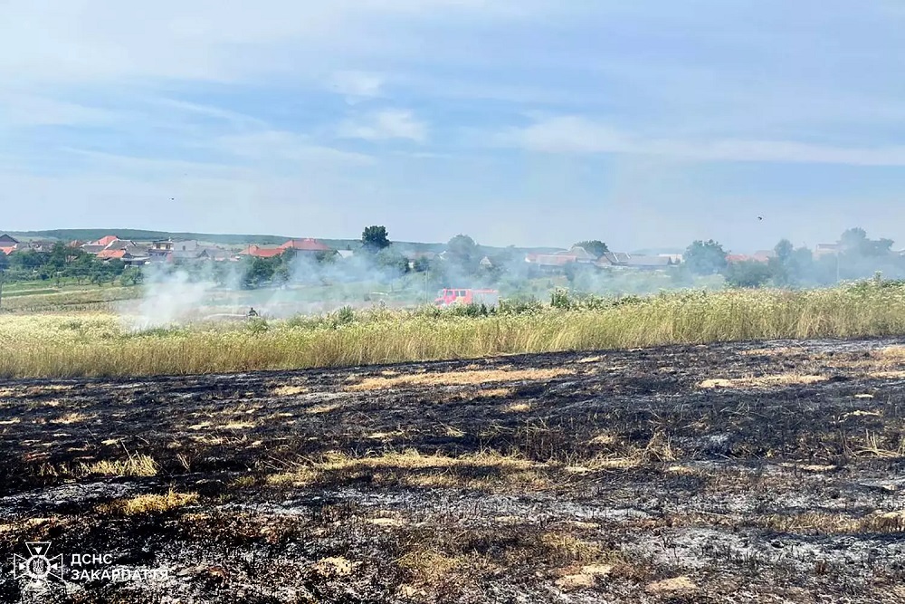 У Дунковиці на Берегівщині жінка з Мукачева загинула під час спалювання сухотрав'я (ФОТО) (РОЗШИРЕНО)