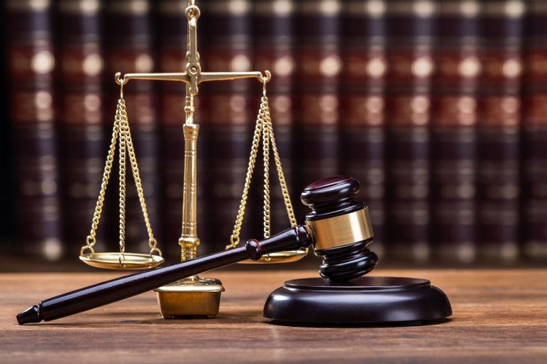  На Закарпатті судитимуть колишню очільницю Держгеокадастру за незаконну передачу землі з водосховищем