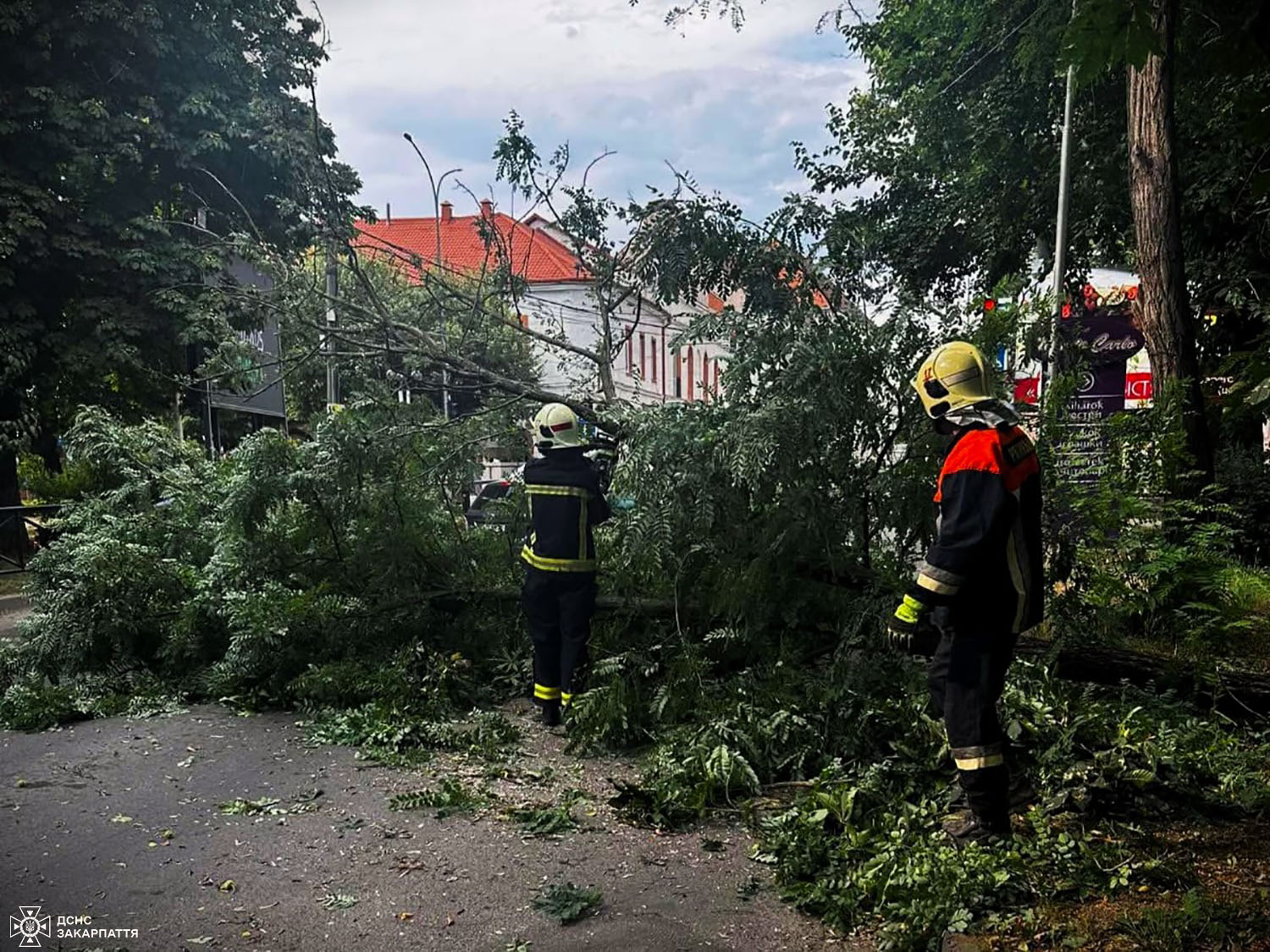 На Закарпатті рятувальники прибрали 22 дерева, що впали внаслідок вечірнього буревію (ФОТО)