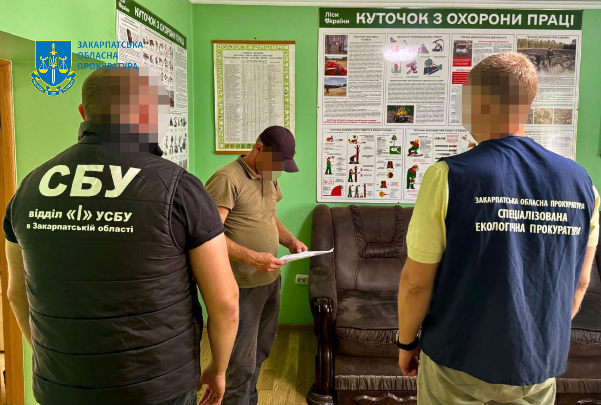 На Закарпатті лісівнику оголосили підозру через незаконну вирубку дубів на 5,2 млн грн (ФОТО)