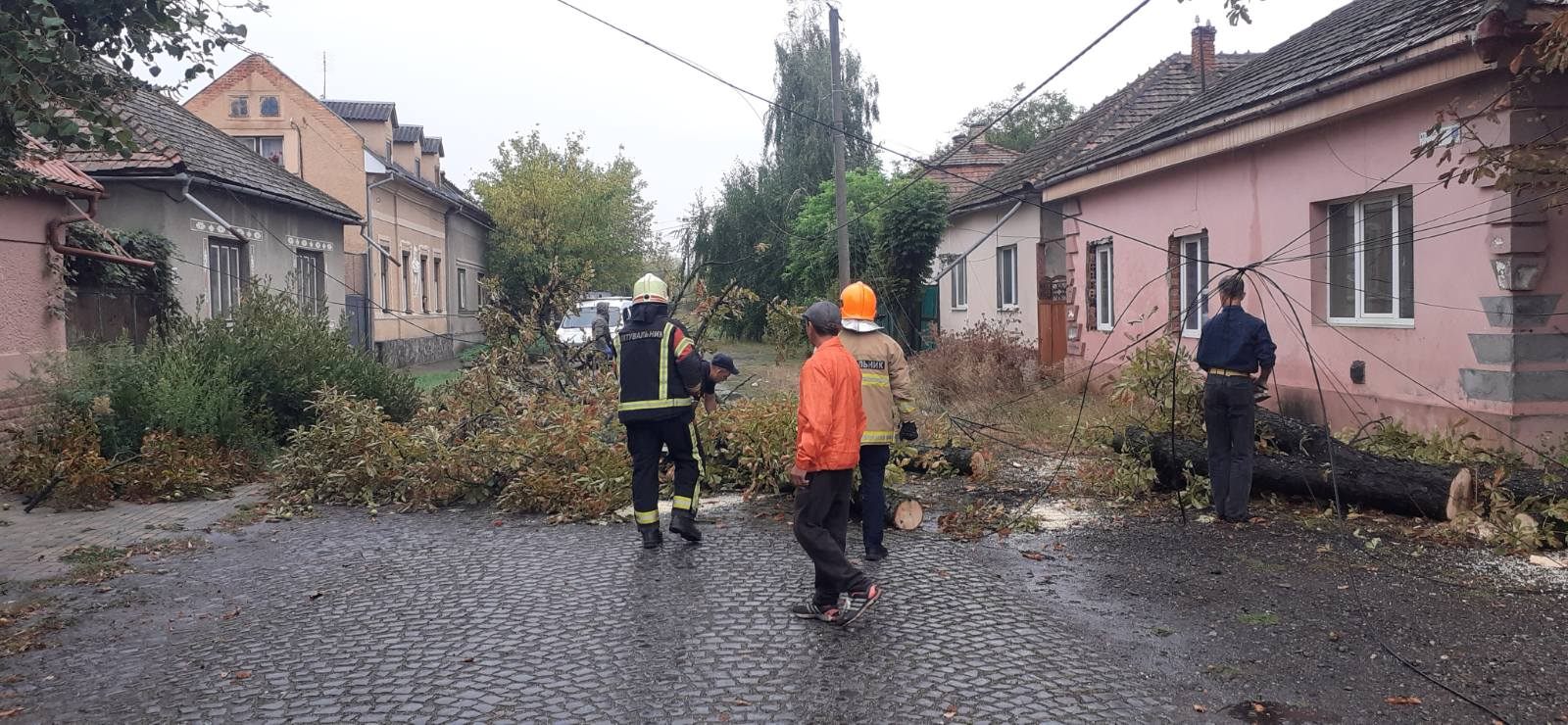 У Берегові через негоду на дорогу впало дерево (ФОТО)