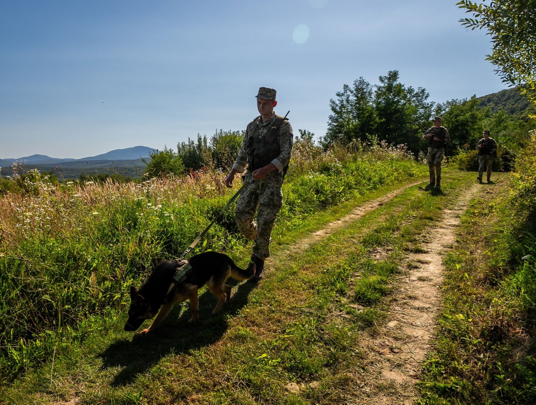 У високогір’ї Карпат спіймали п’ятьох чоловіків, які планували незаконний перетин кордону