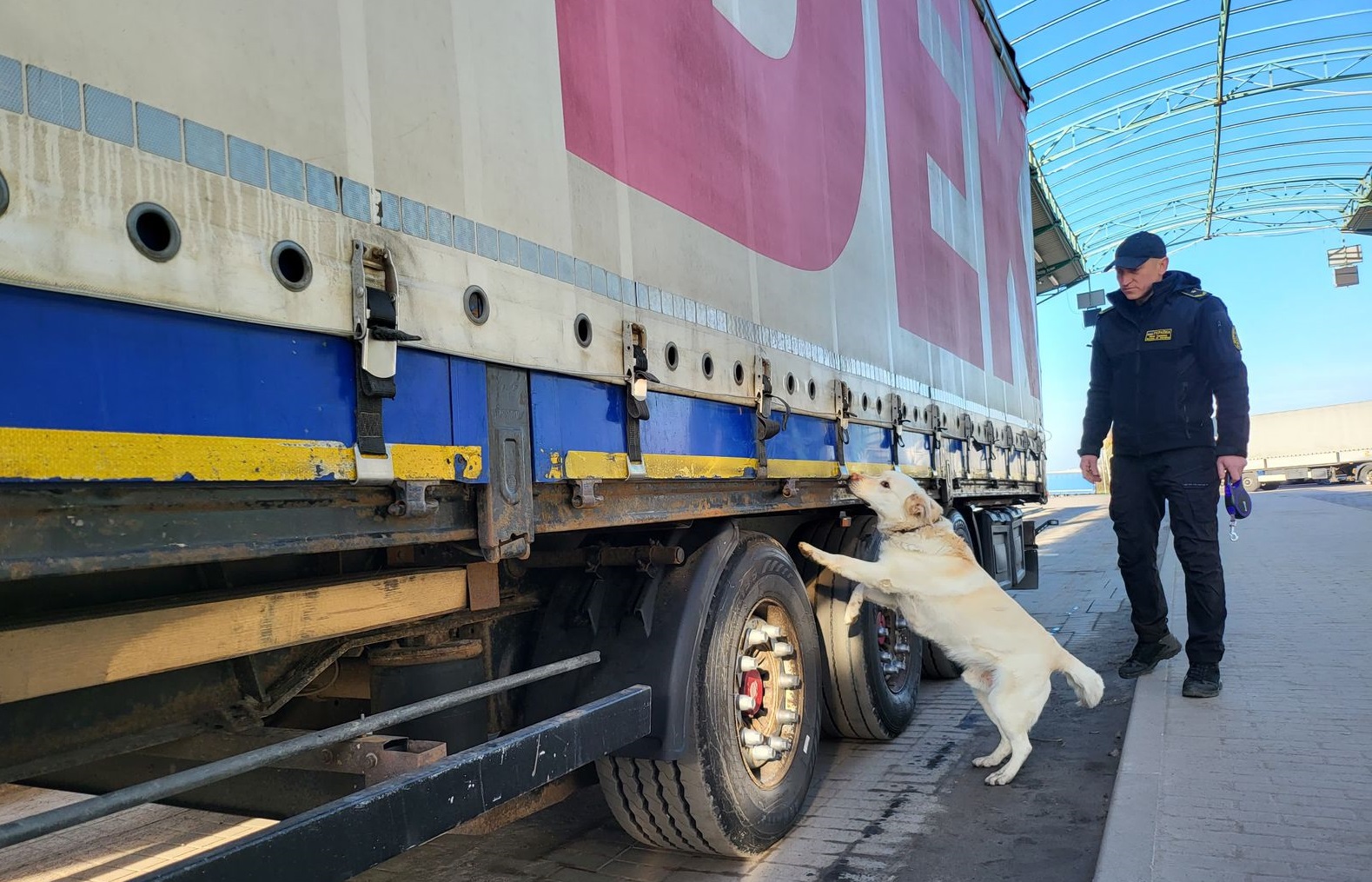 Службові собаки Закарпатської митниці «впіймали» понад 720 кг наркотиків і психотропів (ФОТО)