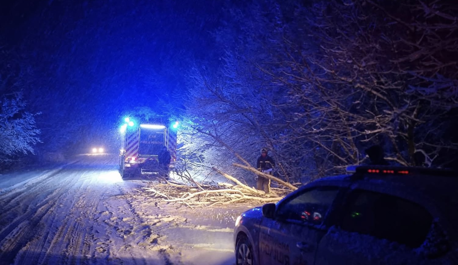 Через негоду на Закарпатті зафіксовано 7 випадків падіння дерев на автошляхи та транспортні засоби (ФОТО)