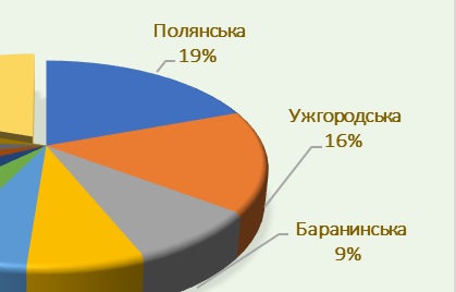 Найбільшими платниками туристичного збору на Закарпатті торік були Поляна, Ужгород і Баранинці