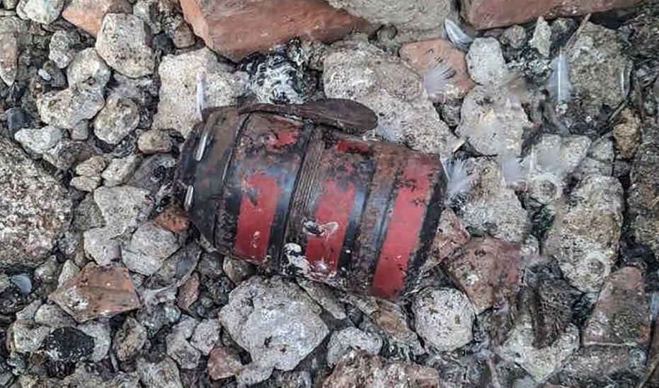 В Ужгороді на горищі будинку знайшли дві гранати часів Другої світової війни (ФОТО)