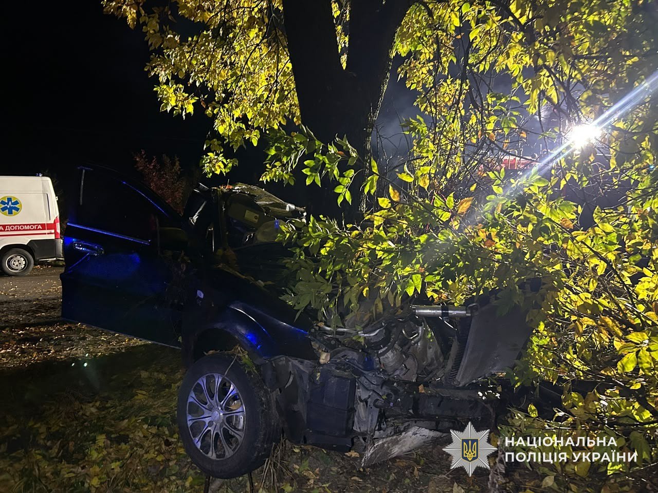 На Мукачівщині в ДТП загинули троє людей, серед них двоє підлітків (ФОТО)