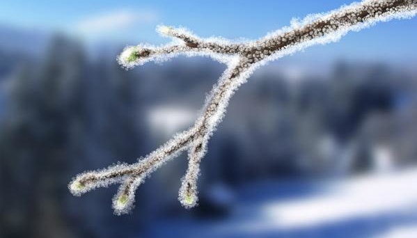 Фото ілюстративне, з мережі інтернет