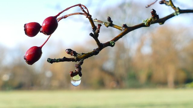 Фото ілюстративне, з мережі інтернет