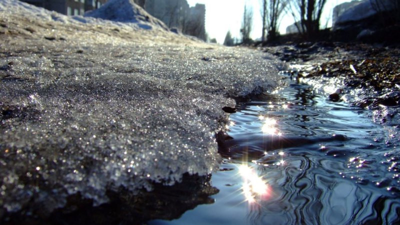 Фото ілюстративне, з мережі інтернет