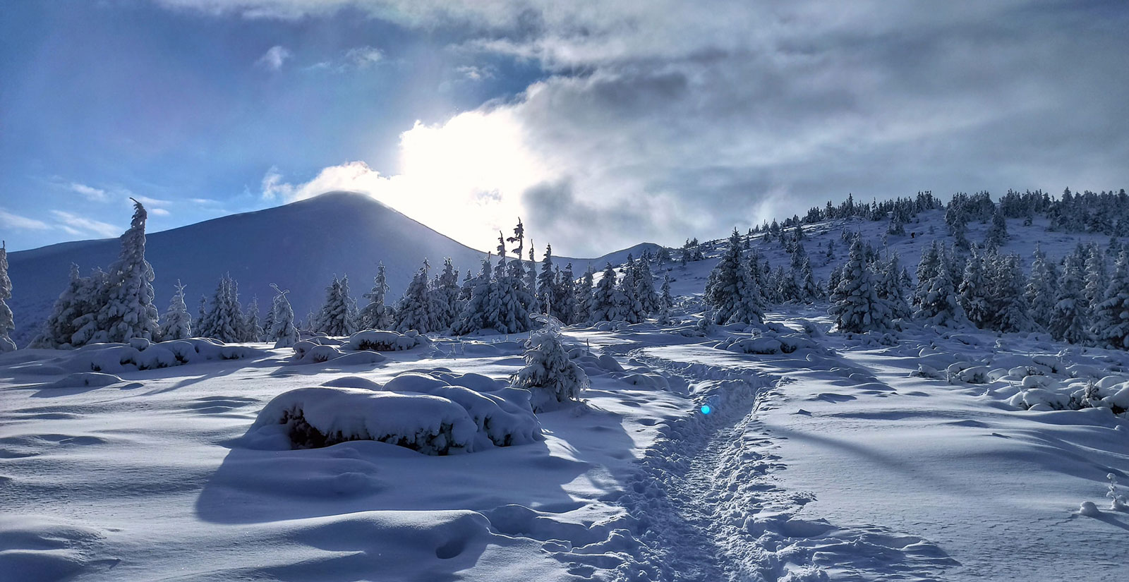 Фото ілюстративне, з мережі інтернет