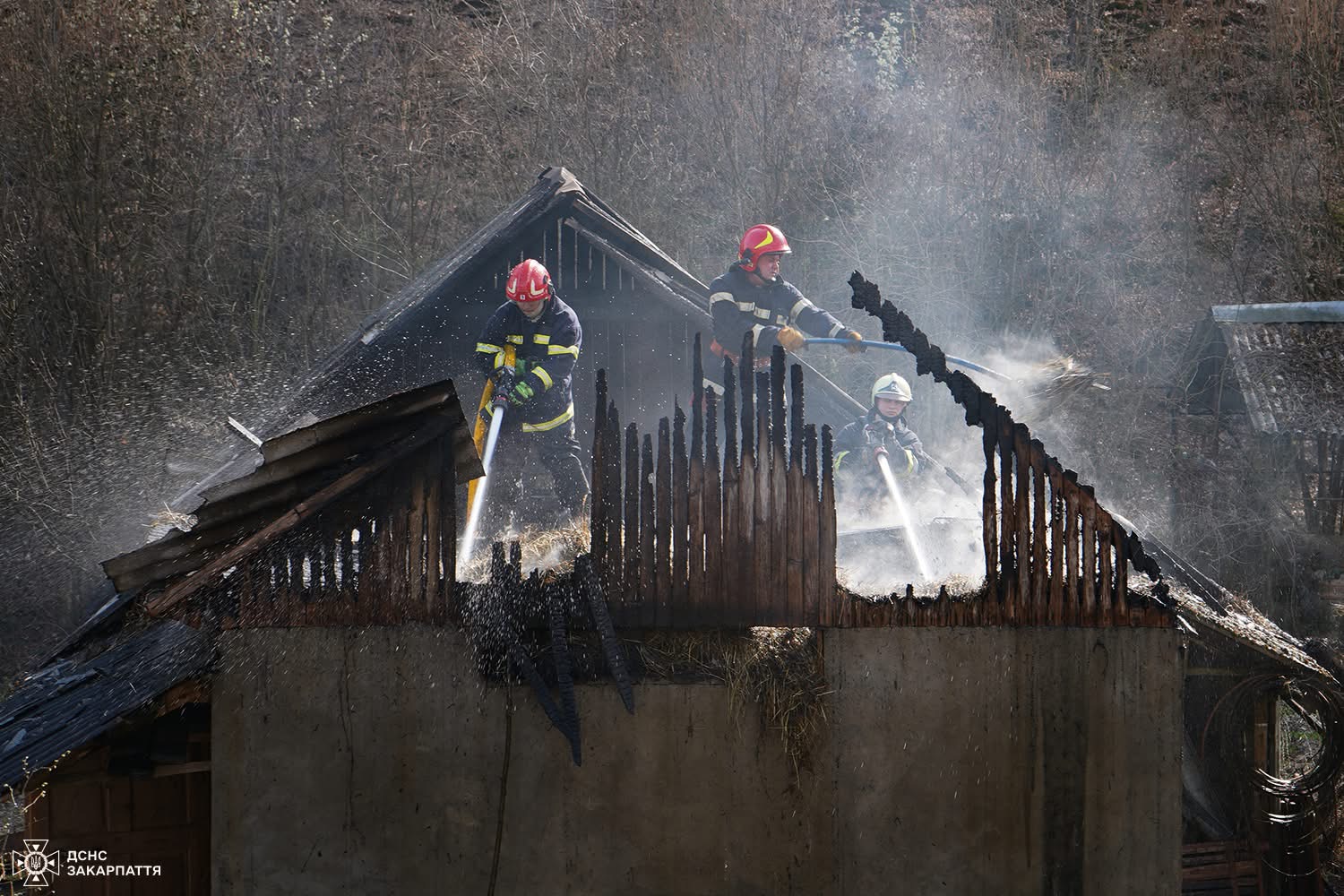 На Ужгородщині спроба спалити сміття завершилась пожежею (ФОТО)