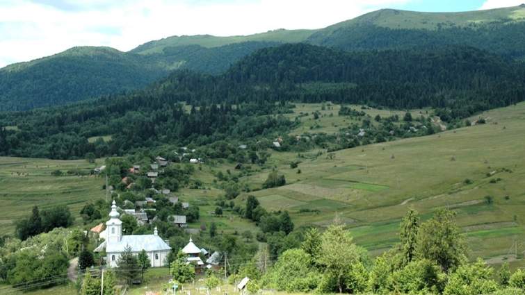 Мешканці Щербовця на Мукачівщині виступили проти вирубки лісу для будівництва лінії електропередачі на знищену вітряками Руну