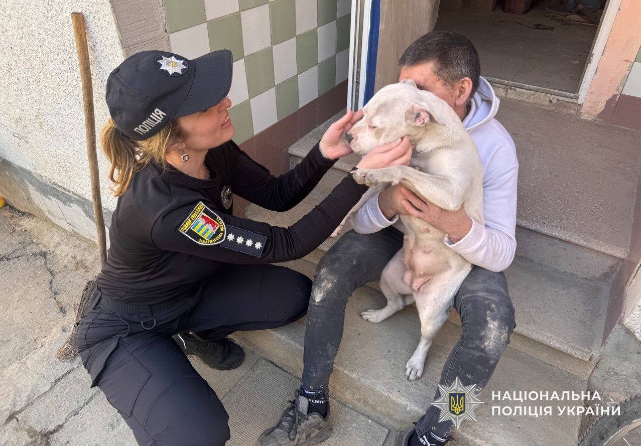 На Берегівщині поліцейські повернули господарям загубленого пса, який допомагає у реабілітації дітей (ФОТО)