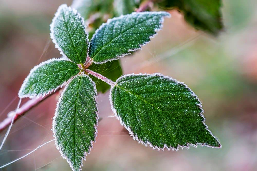 Фото ілюстративне, з мережі інтернет