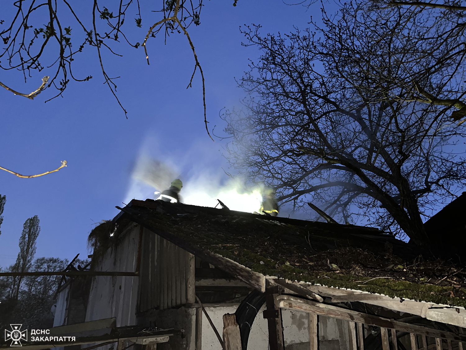 У селі на Хустщині пожежу вночі виявив собака (ФОТО)