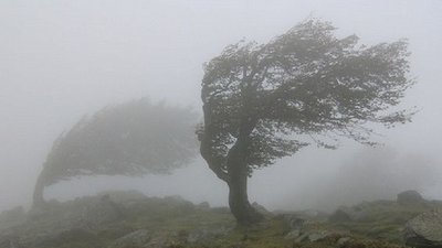 Фото ілюстративне, з мережі інтернет