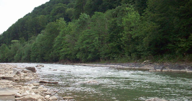 Фото ілюстративне, з мережі інтернет