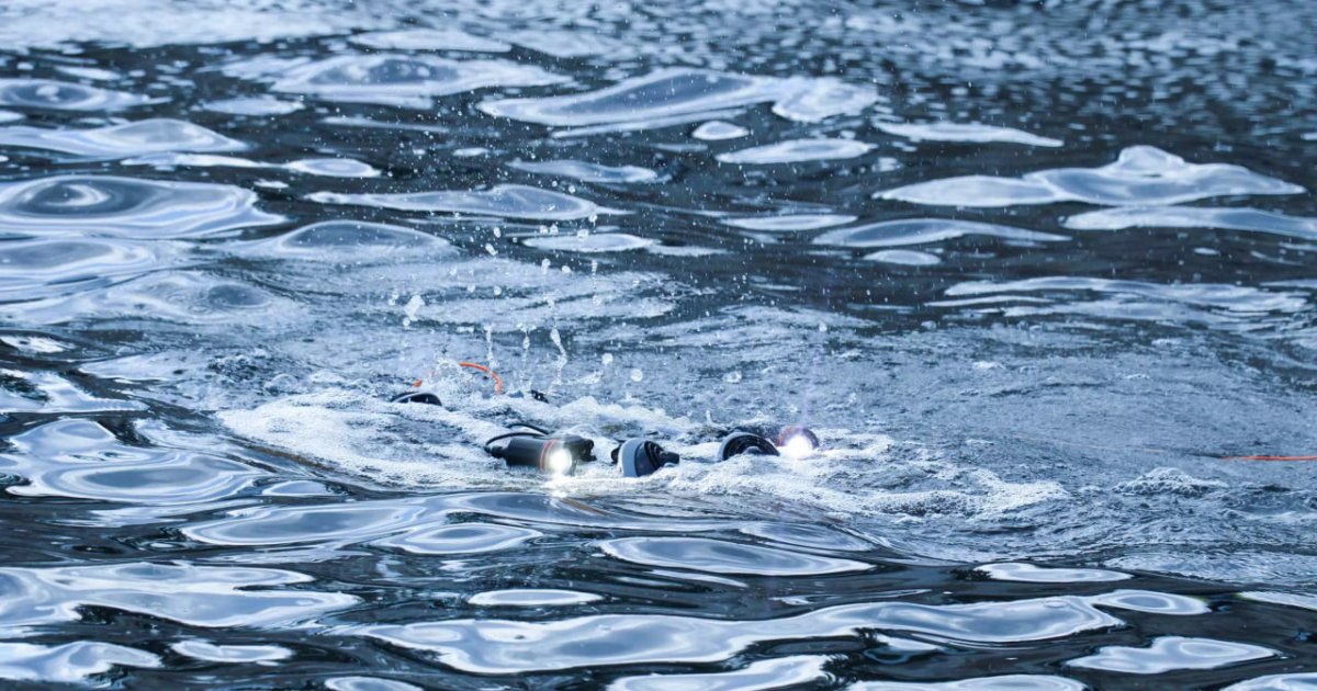 Фото ілюстративне, з мережі інтернет