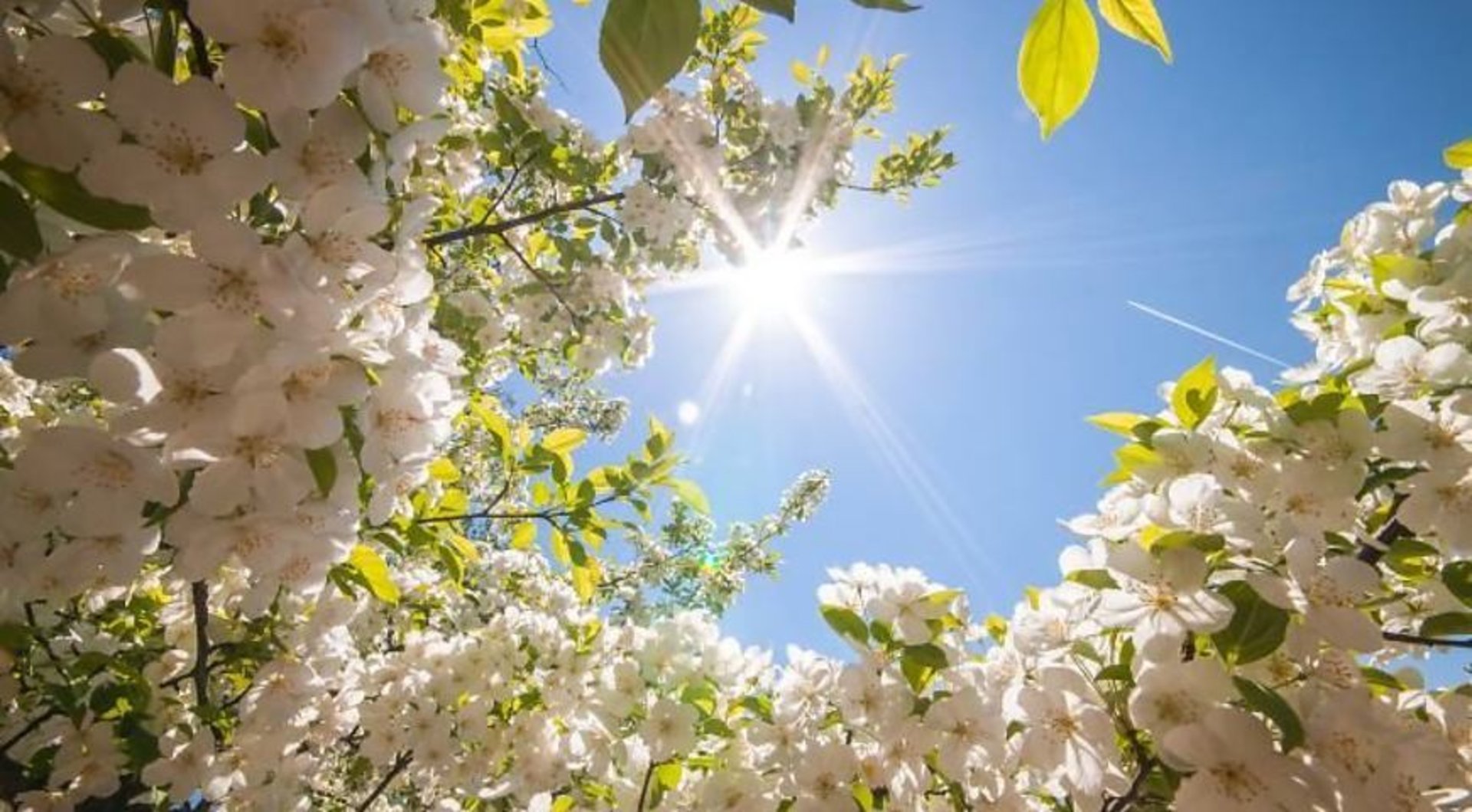 Синоптики прогнозують до +25°C на Закарпатті цього тижня