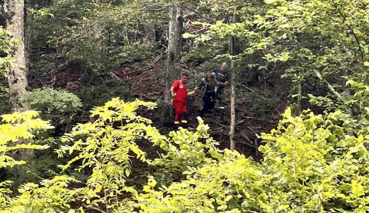 На Закарпатті чоловік загинув через падіння дерева (ФОТО)